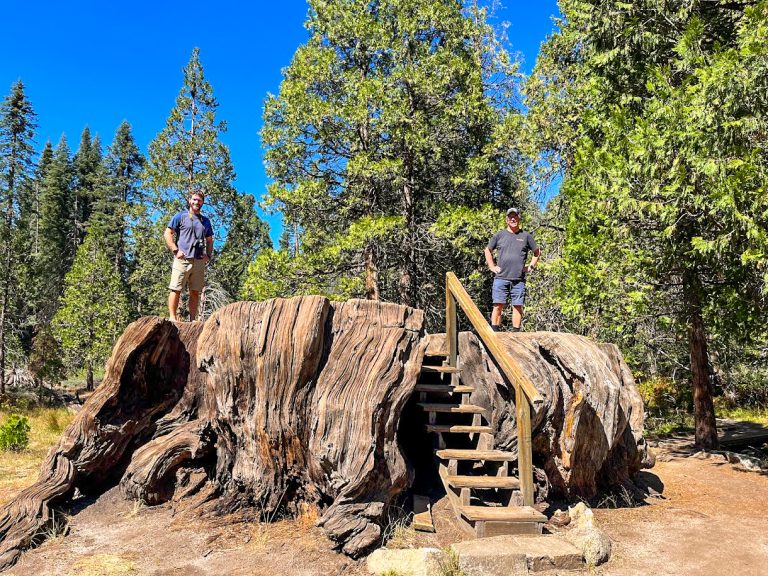 Sequoia National Park: The must-see sights