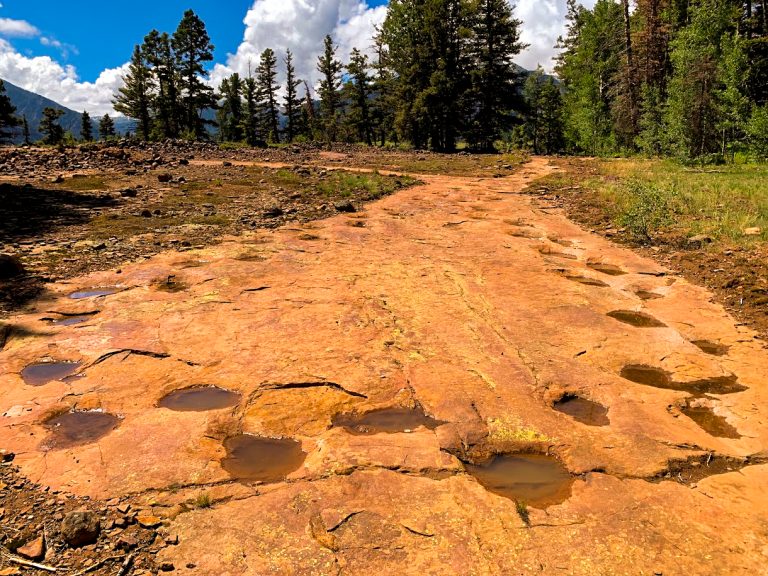 Silvershield Trail: Visit Dinosaur Tracks in Ouray, CO!
