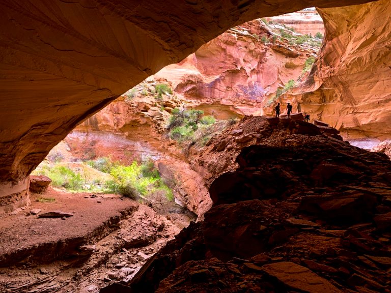 Mee Canyon Alcove: The largest alcove on the Colorado Plateau